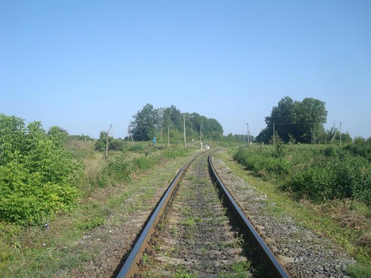 Панівці з panoramio.com - Panivtsi