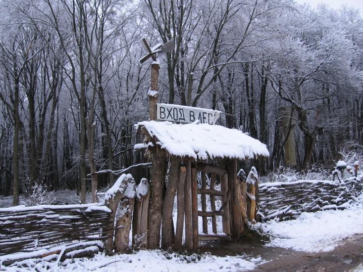 Іволжанське з panoramio.com - Иволжанское