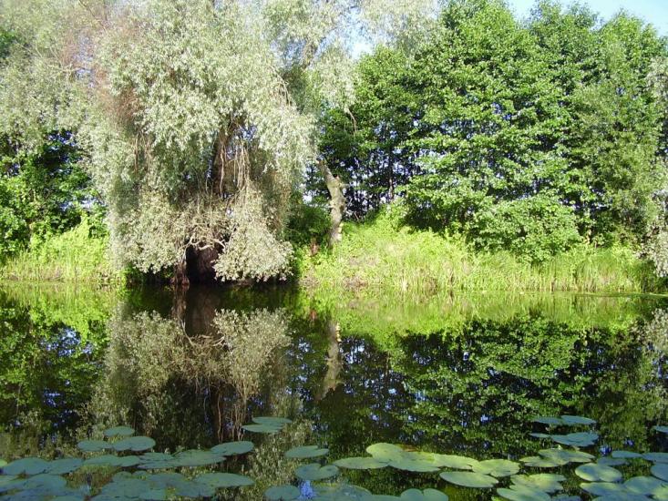 Горбове з panoramio.com - Gorbove