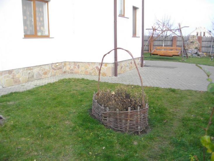 Дядьковичі з panoramio.com - Дядьковичі