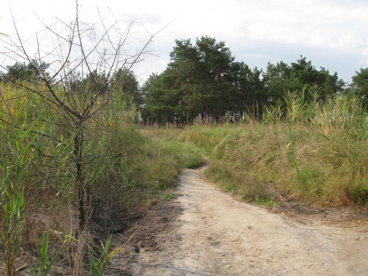 Раденськ з panoramio.com - Radensk