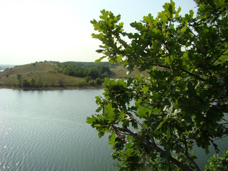 Грабове з panoramio.com - Грабово