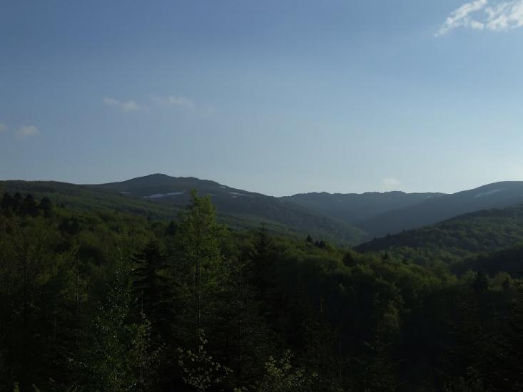 Шандровець з panoramio.com - Шандровец