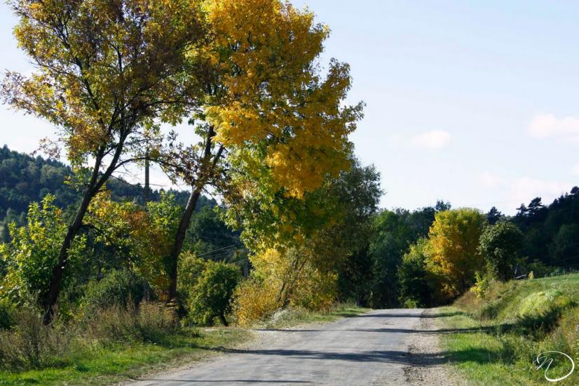 Трушевичі з panoramio.com - Trushevychi