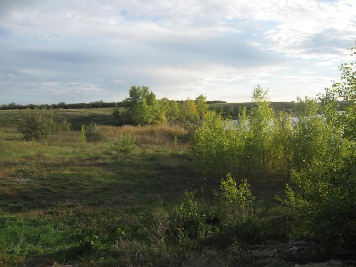 Шолохове з panoramio.com - Шолохово
