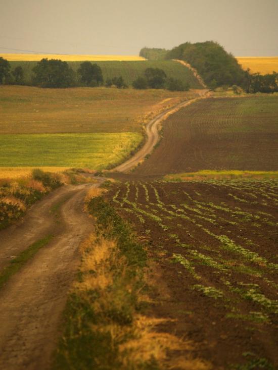 Переможне з panoramio.com - Переможное