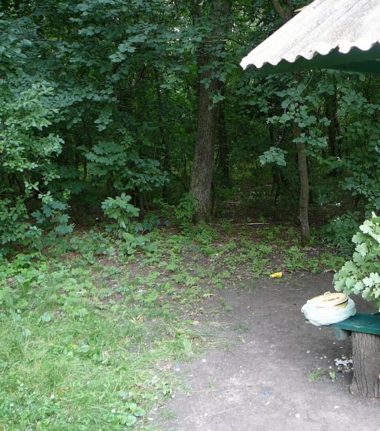 Миколаївка з panoramio.com - Миколаївка