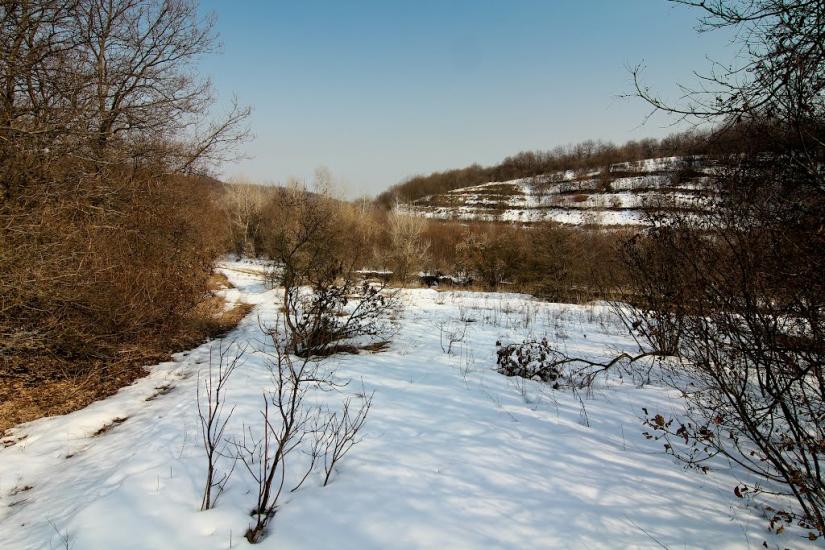 Лучки з panoramio.com - Лучки