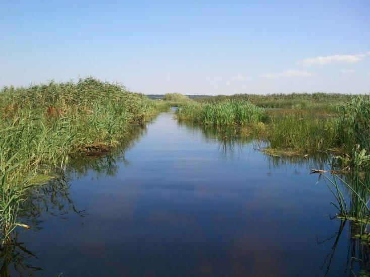 Гупалівка з panoramio.com - Гупаловка