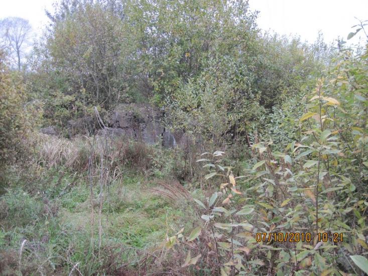 Тихе з panoramio.com - Тихе