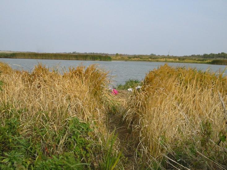 Біляївка з panoramio.com - Беляевка