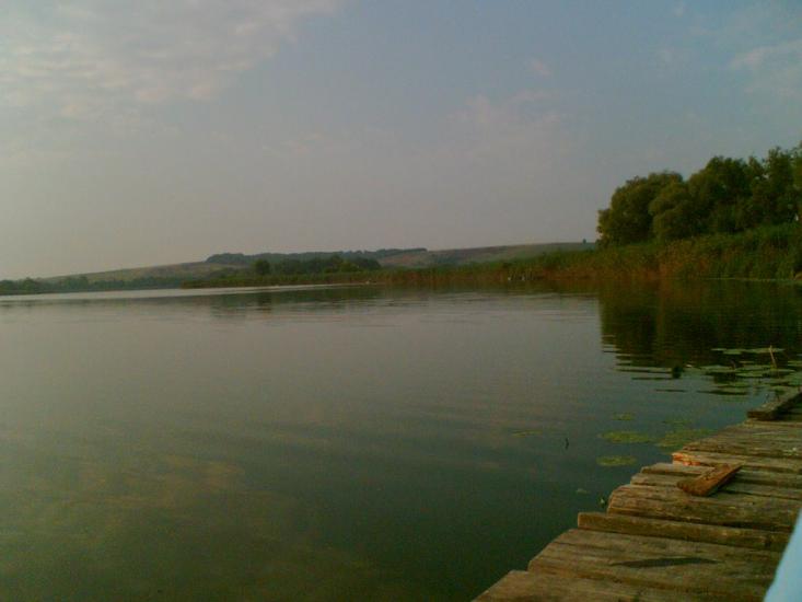 Заріччя з panoramio.com - Заречье
