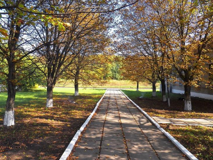 Кринична з panoramio.com - Криничная