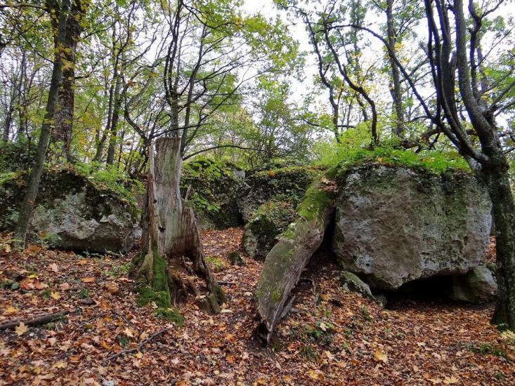 Кринцілів з panoramio.com - Кринцілів