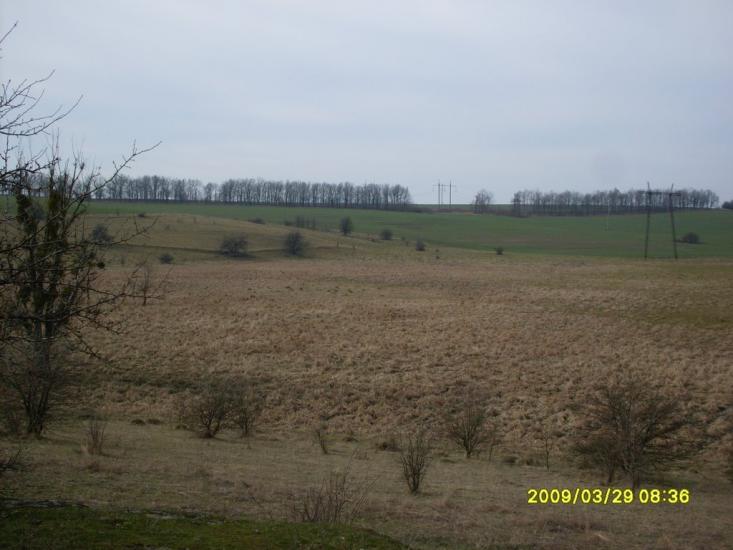 Ладижинське з panoramio.com - Ладижинське