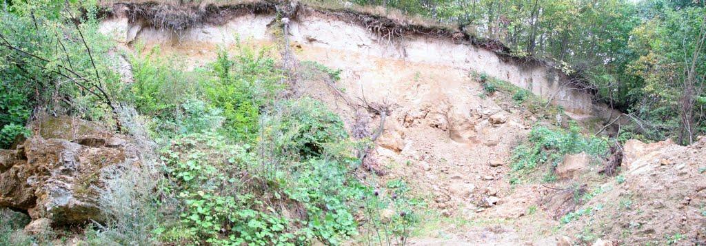 Головчинці з panoramio.com - Головчинцы