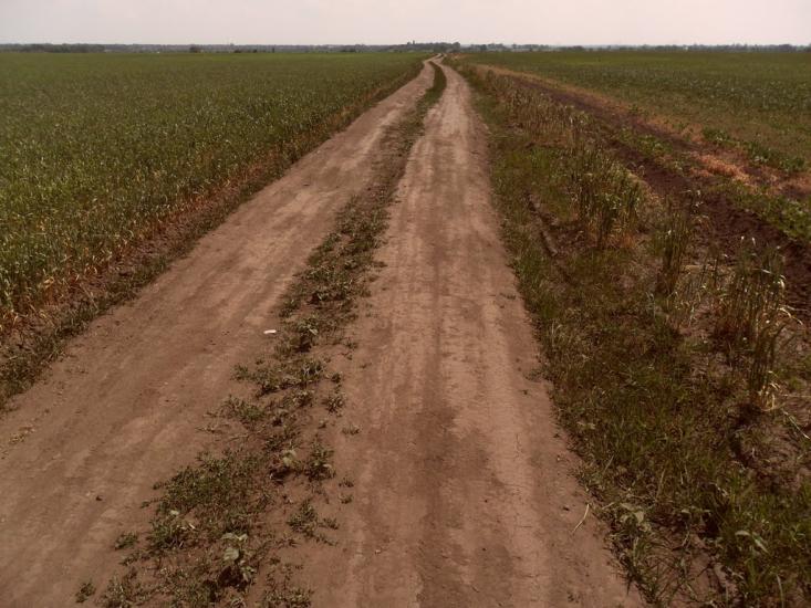 Гребінки з panoramio.com - Гребінки