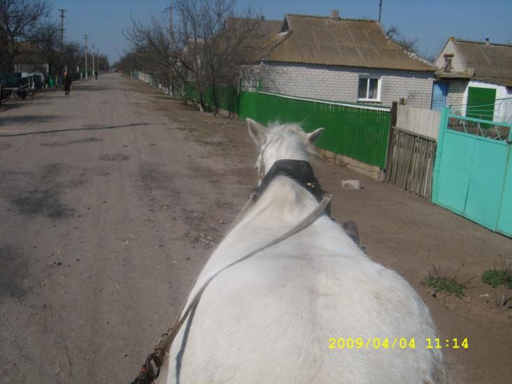 Михайлівка з panoramio.com - Михайлівка