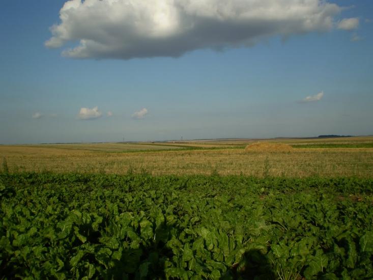 Клебанівка з panoramio.com - Клебанівка