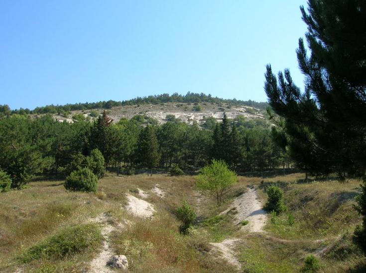 Інкерман з panoramio.com - Инкерман