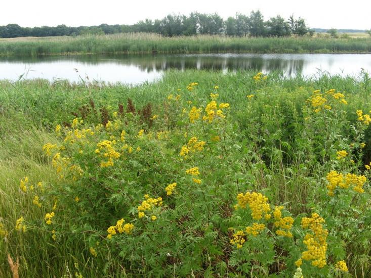 Йосипівка з panoramio.com - Йосипівка