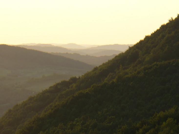 Свалява з panoramio.com - Svalyava