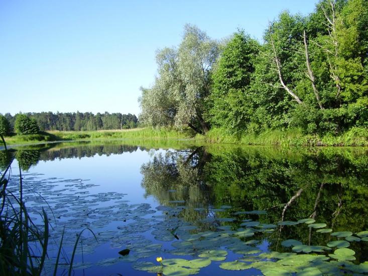 Горбове з panoramio.com - Gorbove