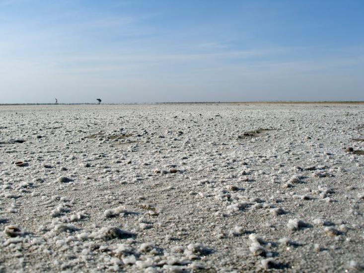 Степанівка Перша з panoramio.com - Степанівка Перша