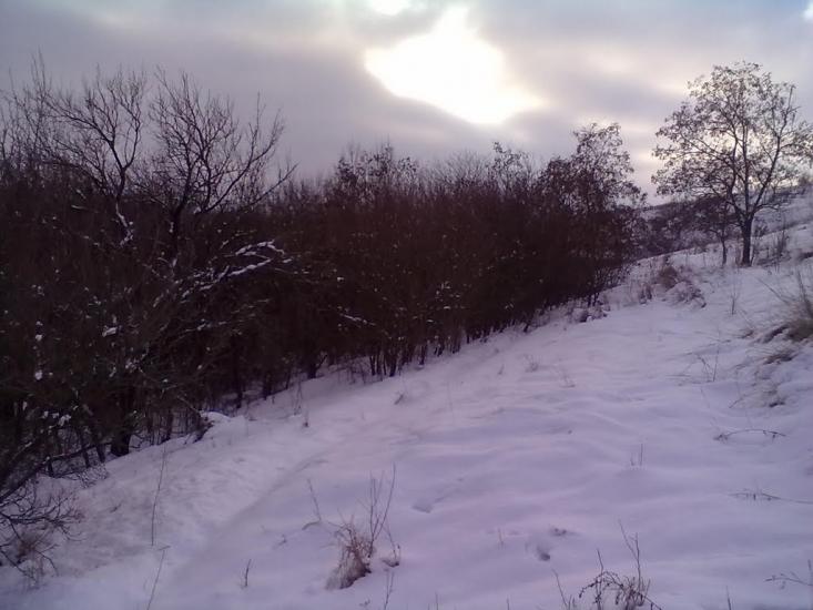 Мала Нехвороща з panoramio.com - Мала Нехвороща