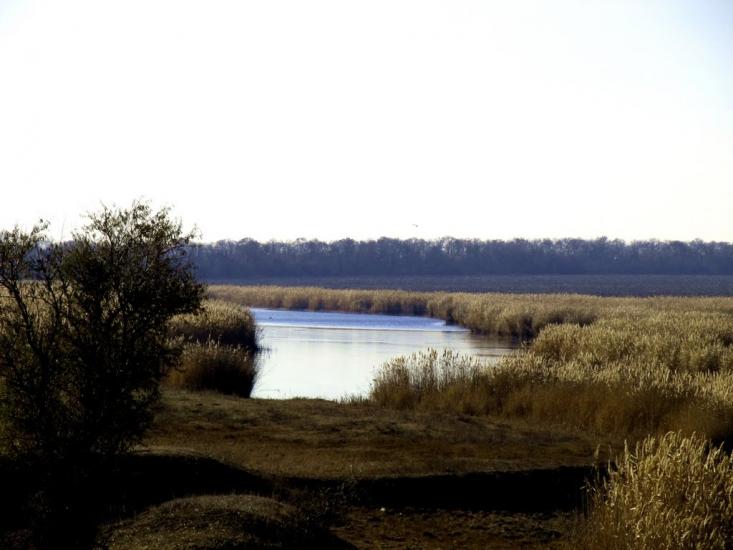 Степове з panoramio.com - Степове