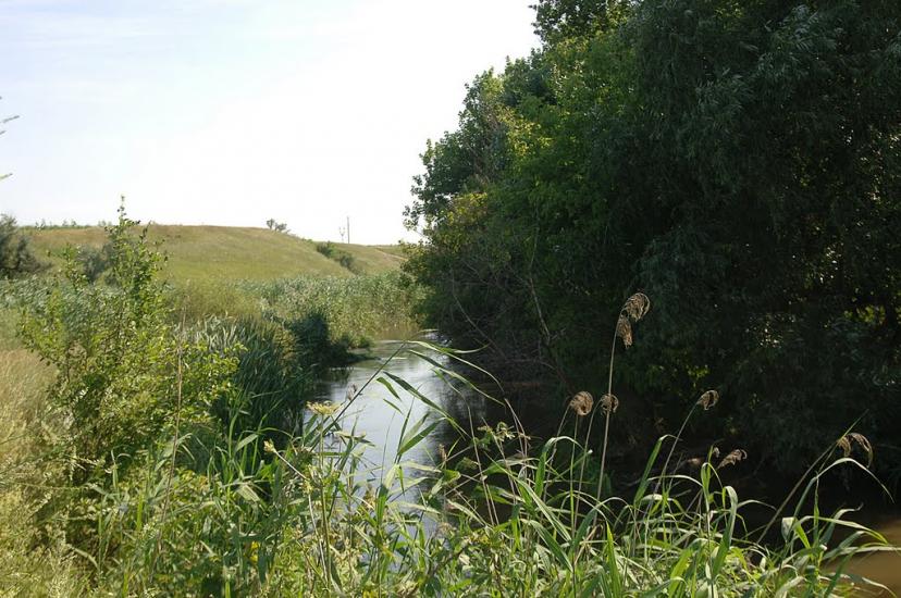 Плещіївка з panoramio.com - Pleschiyivka