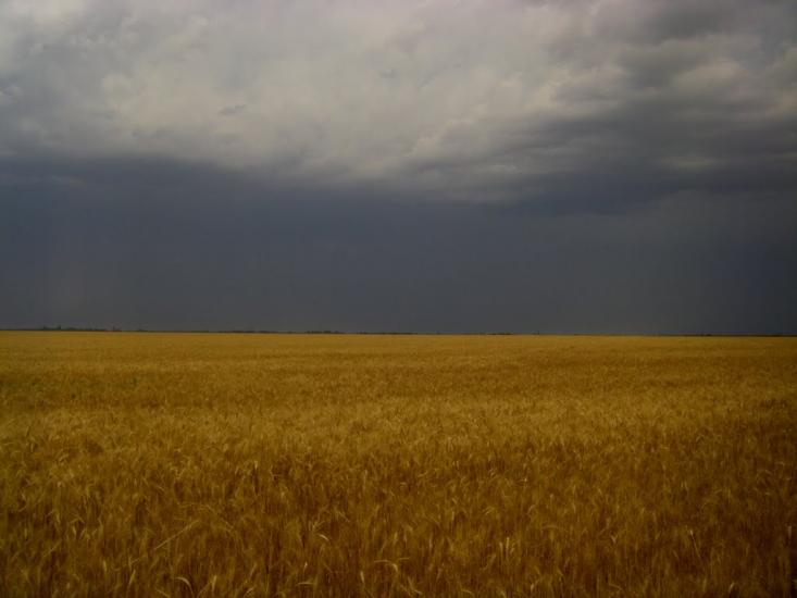 Світле з panoramio.com - Світле