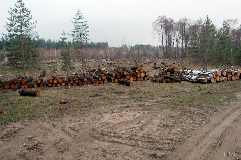 Метьолкіне з panoramio.com - Метелкино