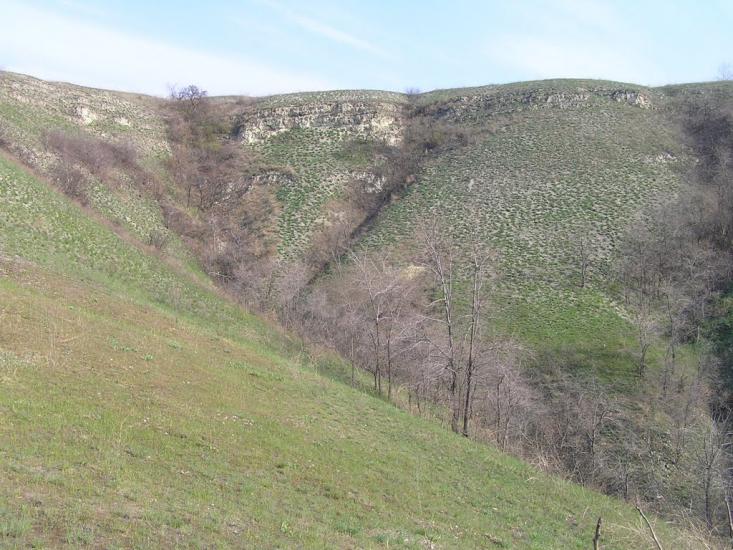 Челюскінець з panoramio.com - Челюскінець