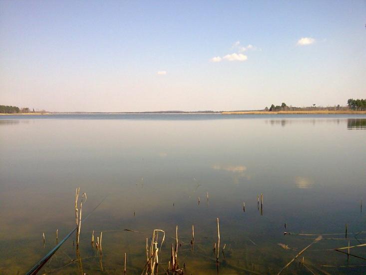 Ровжі з panoramio.com - Ровжи