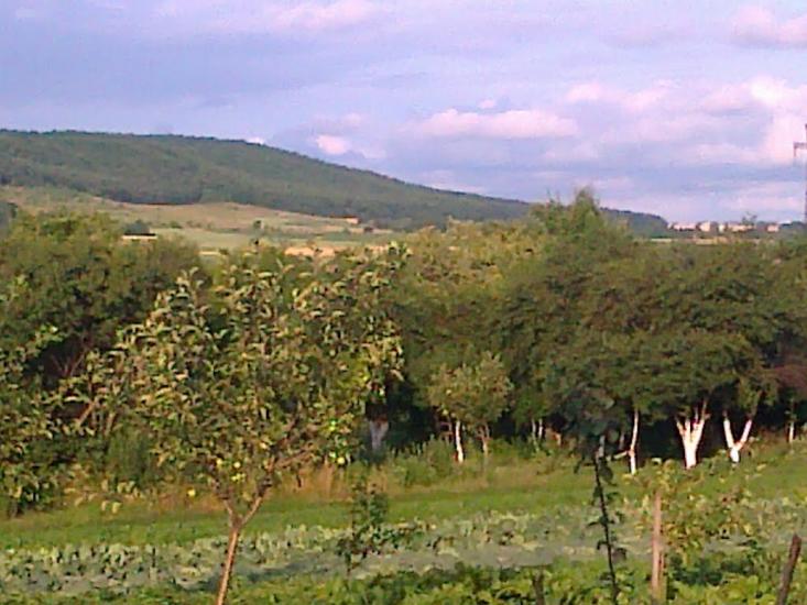 Сатиїв з panoramio.com - Сатыев