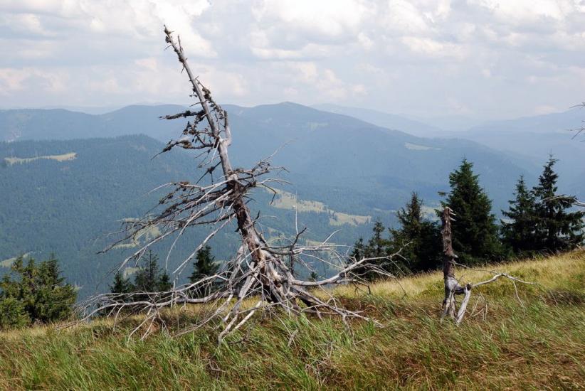 Заверхня Кичера з panoramio.com - Заверхняя Кичера