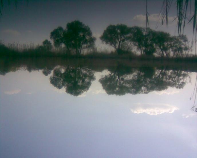 Синява з panoramio.com - Synyava
