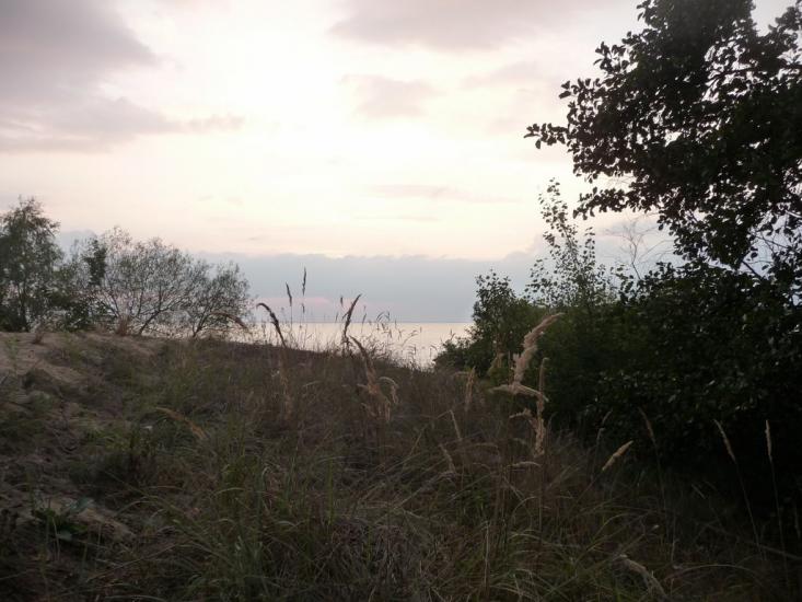 Ровжі з panoramio.com - Ровжи