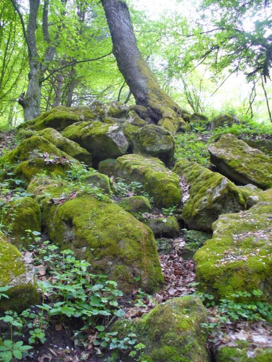 Рай з panoramio.com - Рай