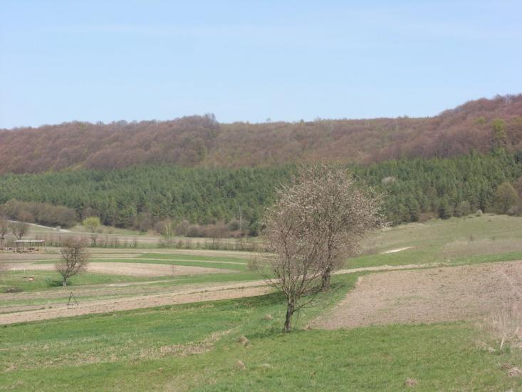 Кути з panoramio.com - Кути