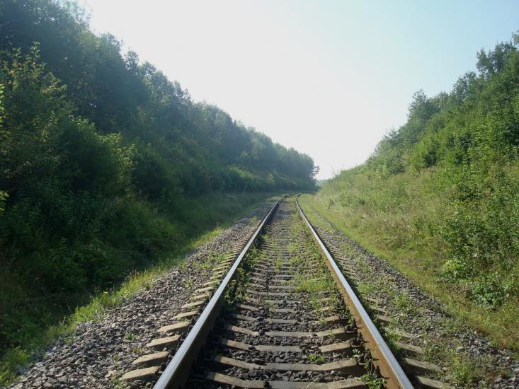 Панівці з panoramio.com - Panivtsi