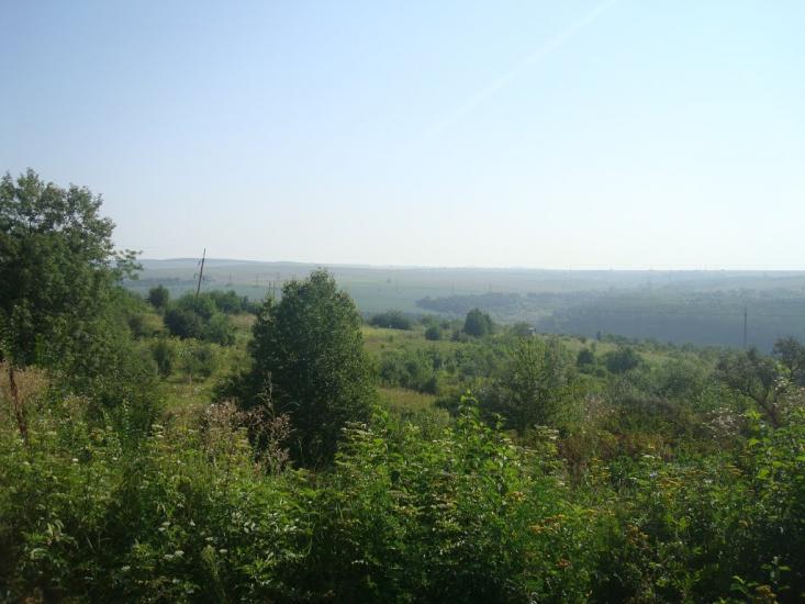 Панівці з panoramio.com - Panivtsi