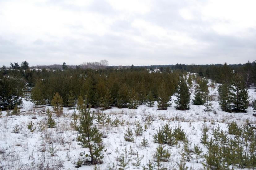 Воронове з panoramio.com - Воронове