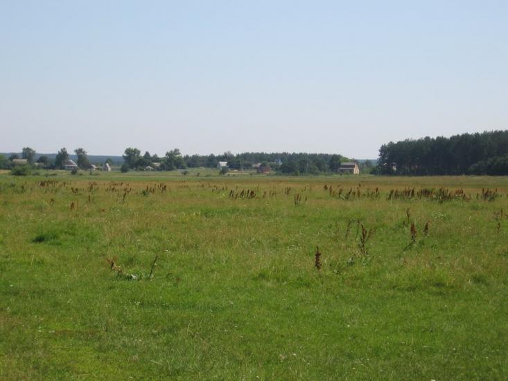 Чорногородка з panoramio.com - Чорногородка