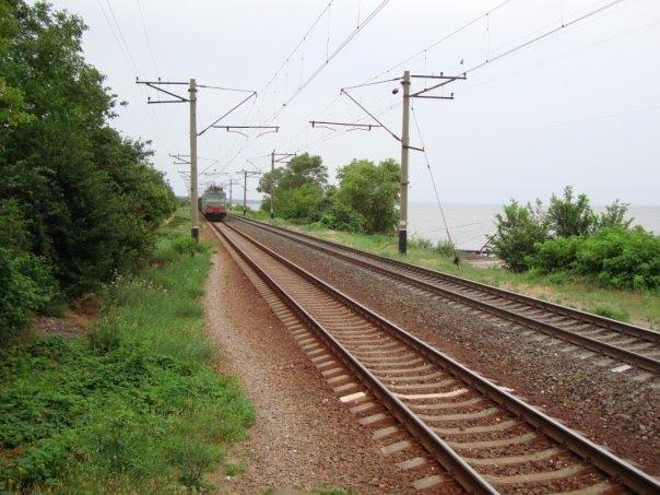 Малокатеринівка з panoramio.com - Малокатериновка