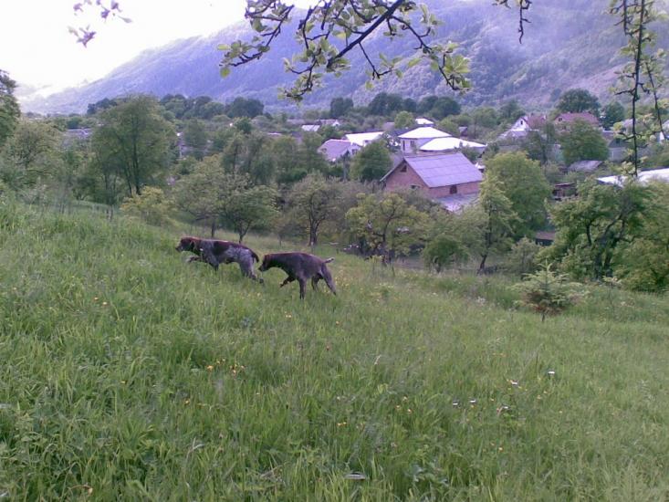 Кути з panoramio.com - Kuty
