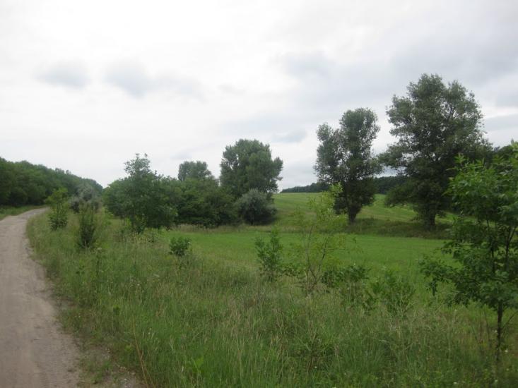 Садки з panoramio.com - Садки