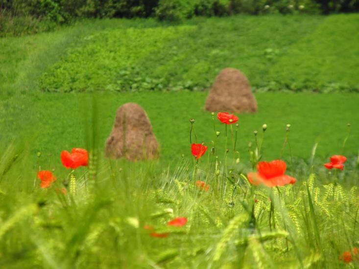 Маркова з panoramio.com - Маркова