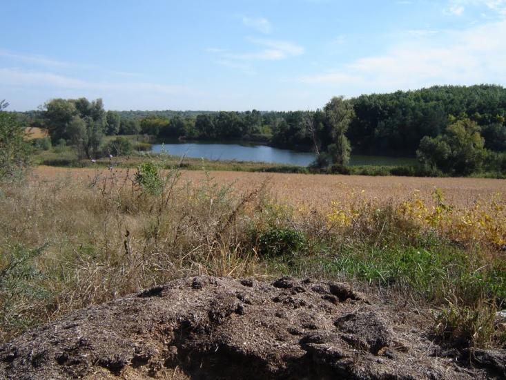 Кагарлик з panoramio.com - Кагарлик